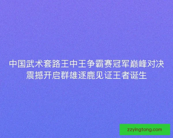 中国武术套路王中王争霸赛冠军巅峰对决震撼开启群雄逐鹿见证王者诞生