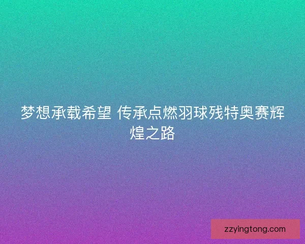 梦想承载希望 传承点燃羽球残特奥赛辉煌之路